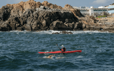 All For One.  One For All. Make Waves for Hong Kong